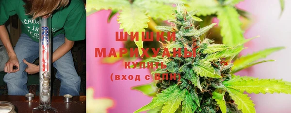 молекула духа Бугульма